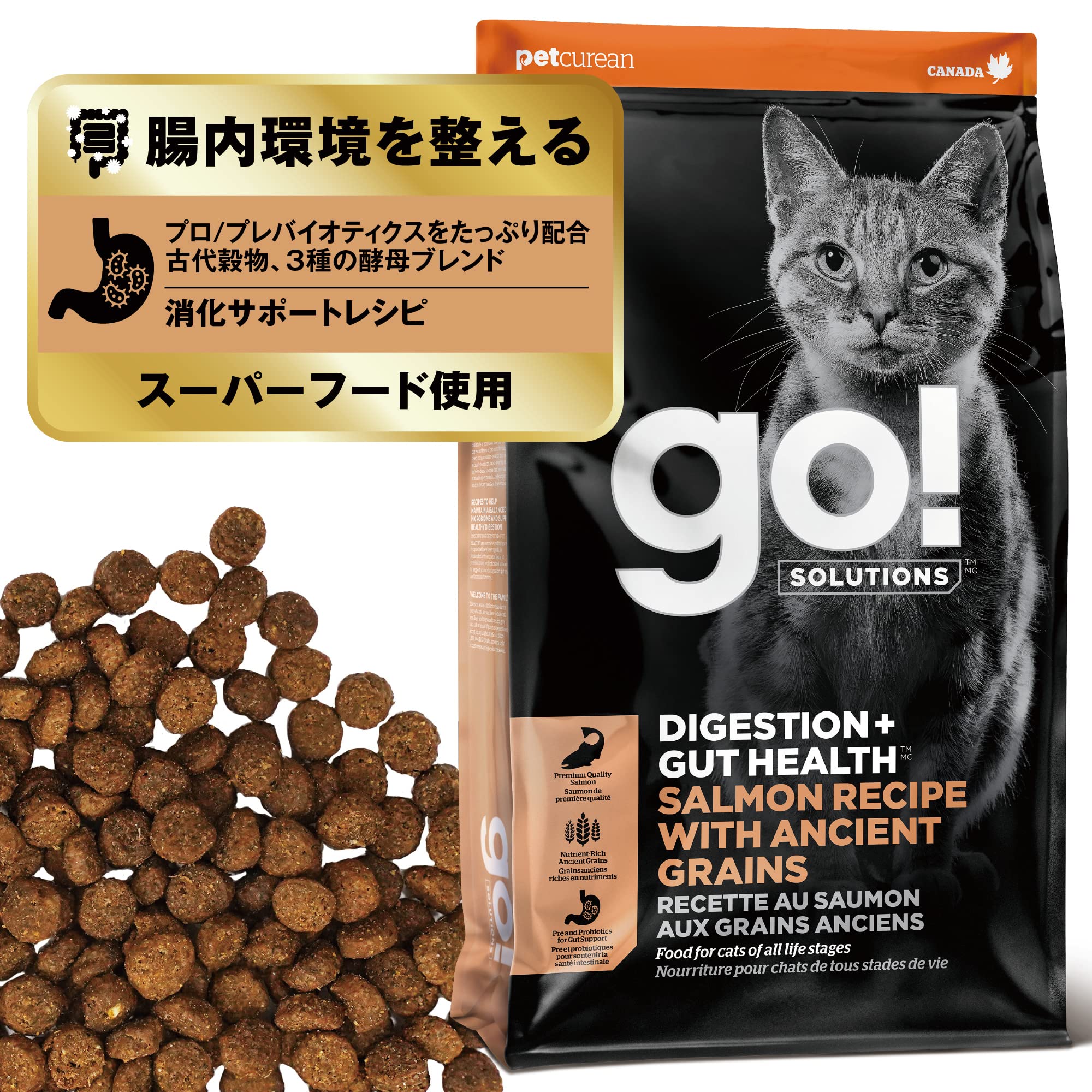 GO! SOLUTIONS 消化+腸の健康ケア キャットフード 小粒 サーモン 古代穀物の商品画像