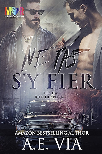 Download Ne pas s'y Fier (Rien de Spécial t. 4) PDF