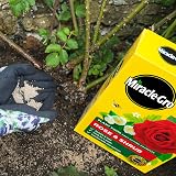 Miracle-Gro Rose and Shrub Fast Acting Granules Plant Food 3 kg view 5