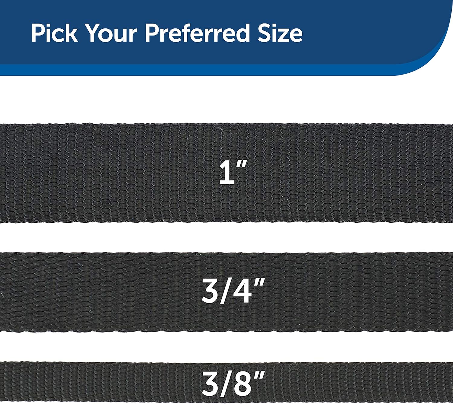 PetSafe Nylon Leash, 3/8" x 6', Black - LSH-3/8-X-6-BLK : Pet Leashes : Pet Supplies