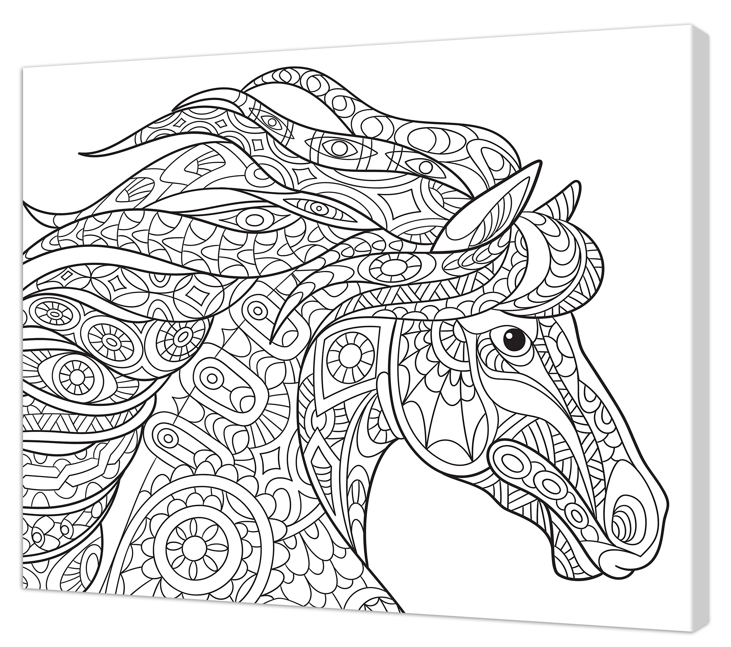 Pintcolor 7162.0 Printed Canvas Colouring, Fir Wood/Cotton, Black/White, 50 x 40 cm — image 1