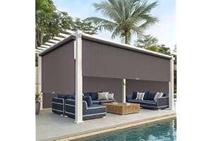 Wisteria Lane Outdoor Roller Shade with Two Operation Mode(No Need Crank), (10'W X 8'H) 420GSM New Material Outdoor Patio Blinds with 95% UV Protection,Patio Shade for Shading,Privacy Protection,Brown