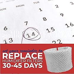 Air Filter Factory Replacement For Holmes