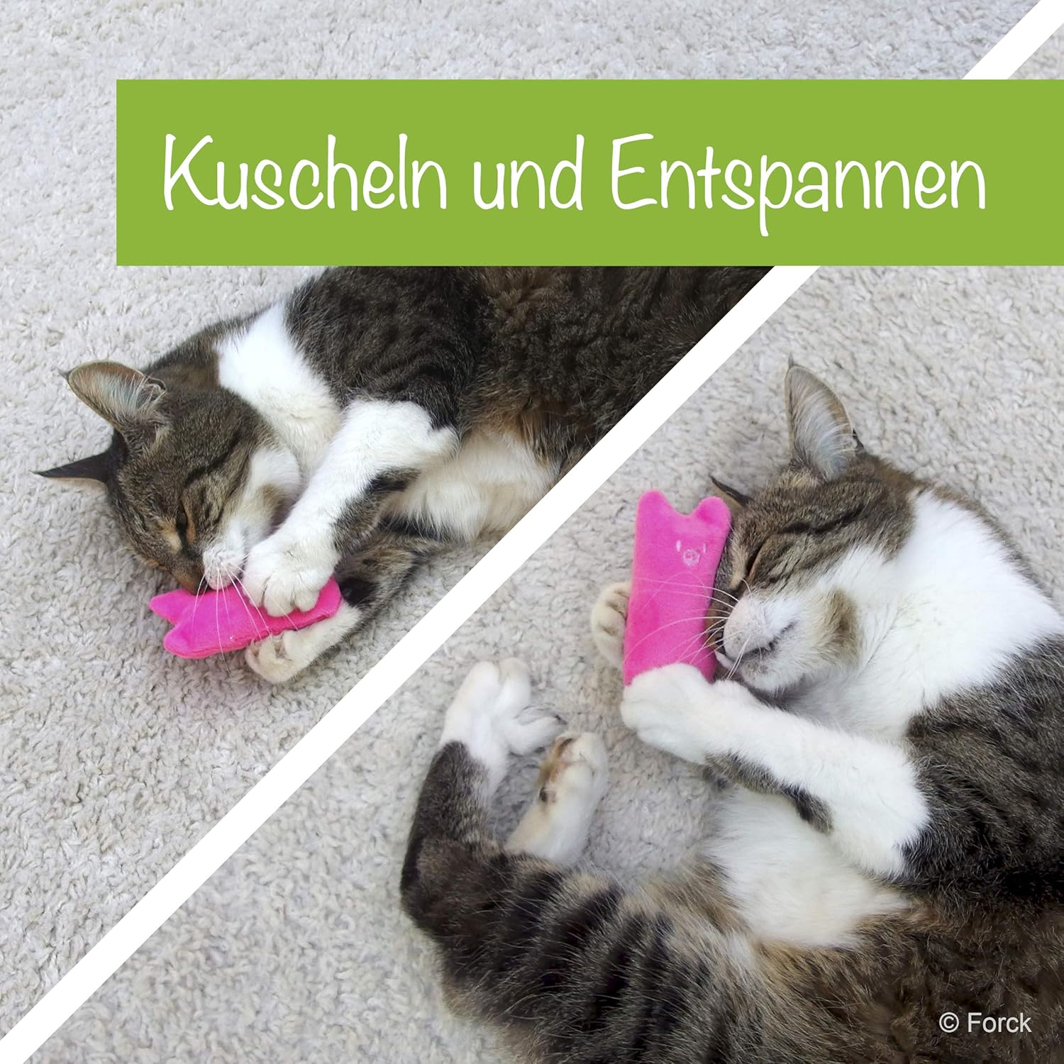 Forck Coussin D Herbe A Chat 3 Pieces Coussin Calin Avec Herbe A Chat Extra Naturelle Pour Caliner Et Jouer Jouets Naturels Pour Chat Pour Tous Les Chats Et Chatons Appropries Amazon Fr Animalerie