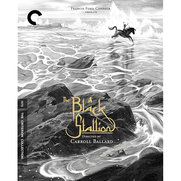 Amazon.com: Rejet Fes.2019 ORIGIN DVD : Movies & TV