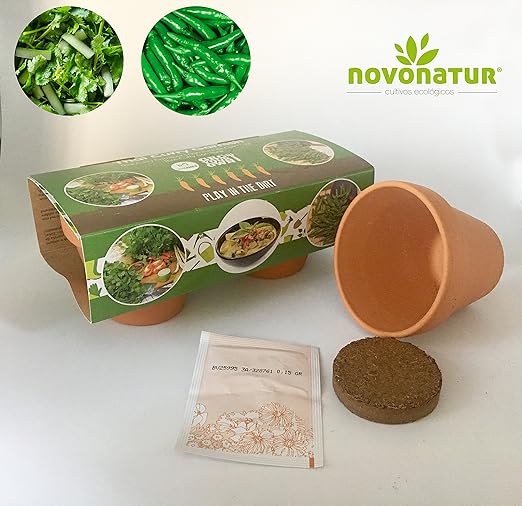 Kit cultivo, kit huerto urbano niños de 2 mini macetas de Pimiento ...