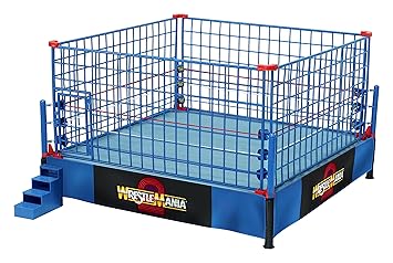 wwe authentic scale steel cage