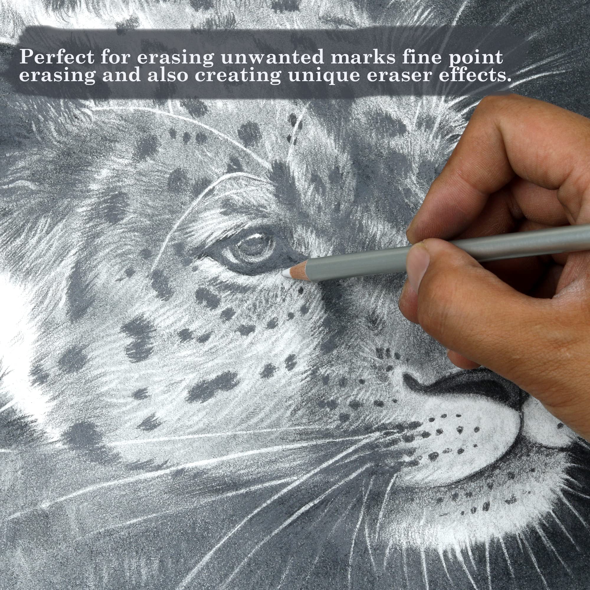 KALOUR Detail Eraser Pencil - 6pc Eraser Pencils with Brush and 2pc Sharpener,Erasing Small Details or add Highlights for Sketching, Charcoal Drawings. Fine Detail Eraser for Beginners & Artists