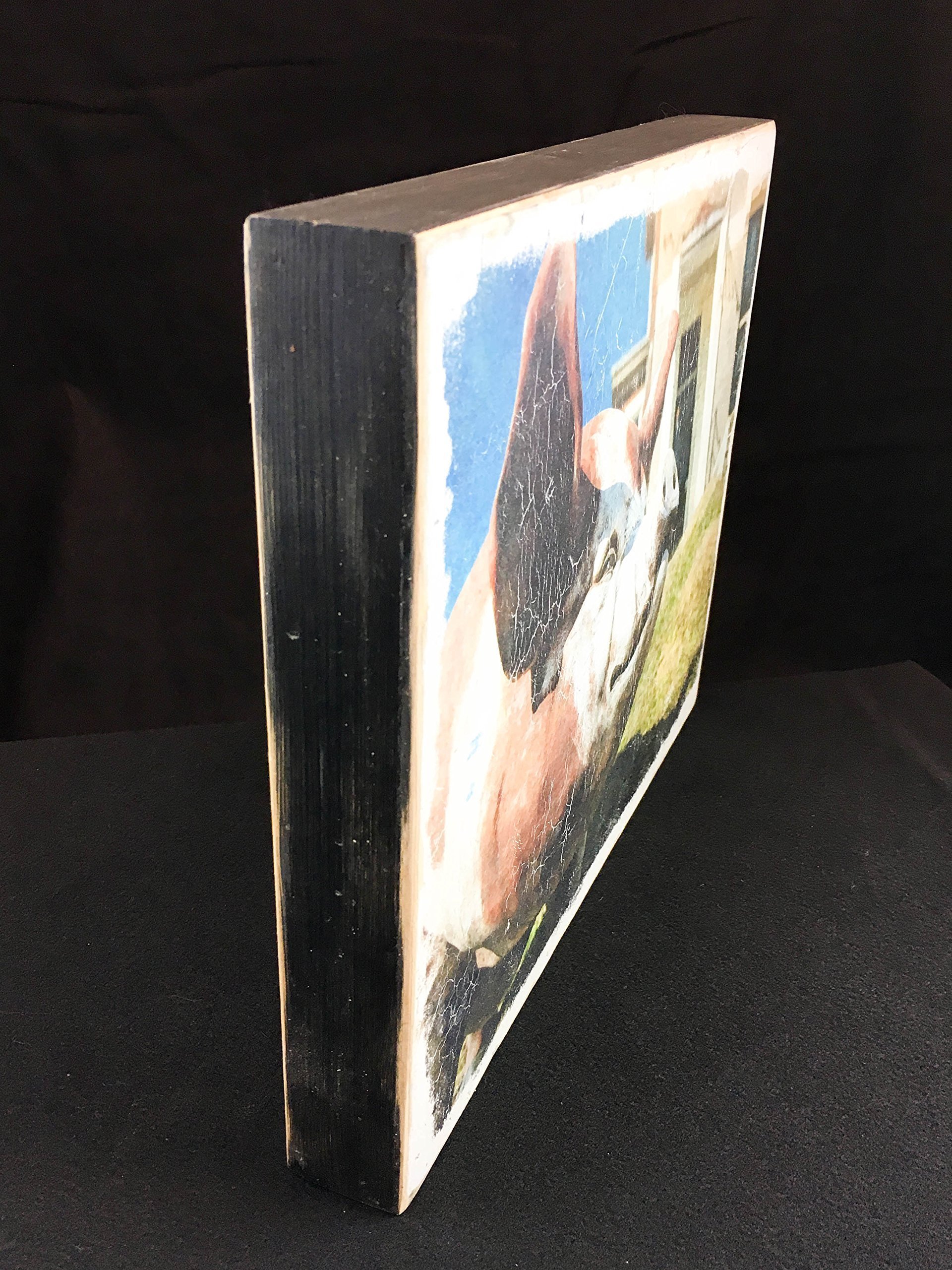 Wood Wall Art Photography - Vintage Cars and Vehicles: Teal Green, Rust and White Dodge Truck Headlight - Image 4