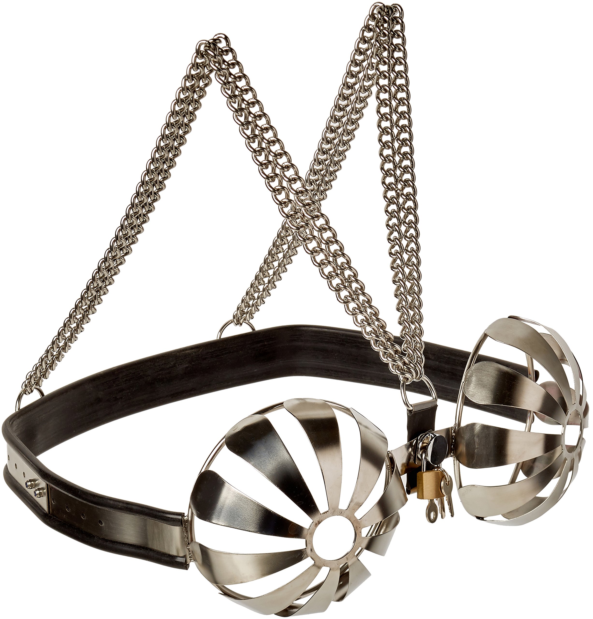 The Bondage Locker Fetish and Bondage Stainless Steel Bra Petal Design