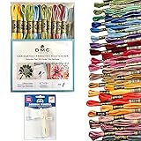 DMC Embroidery Floss,Variegated Embroidery