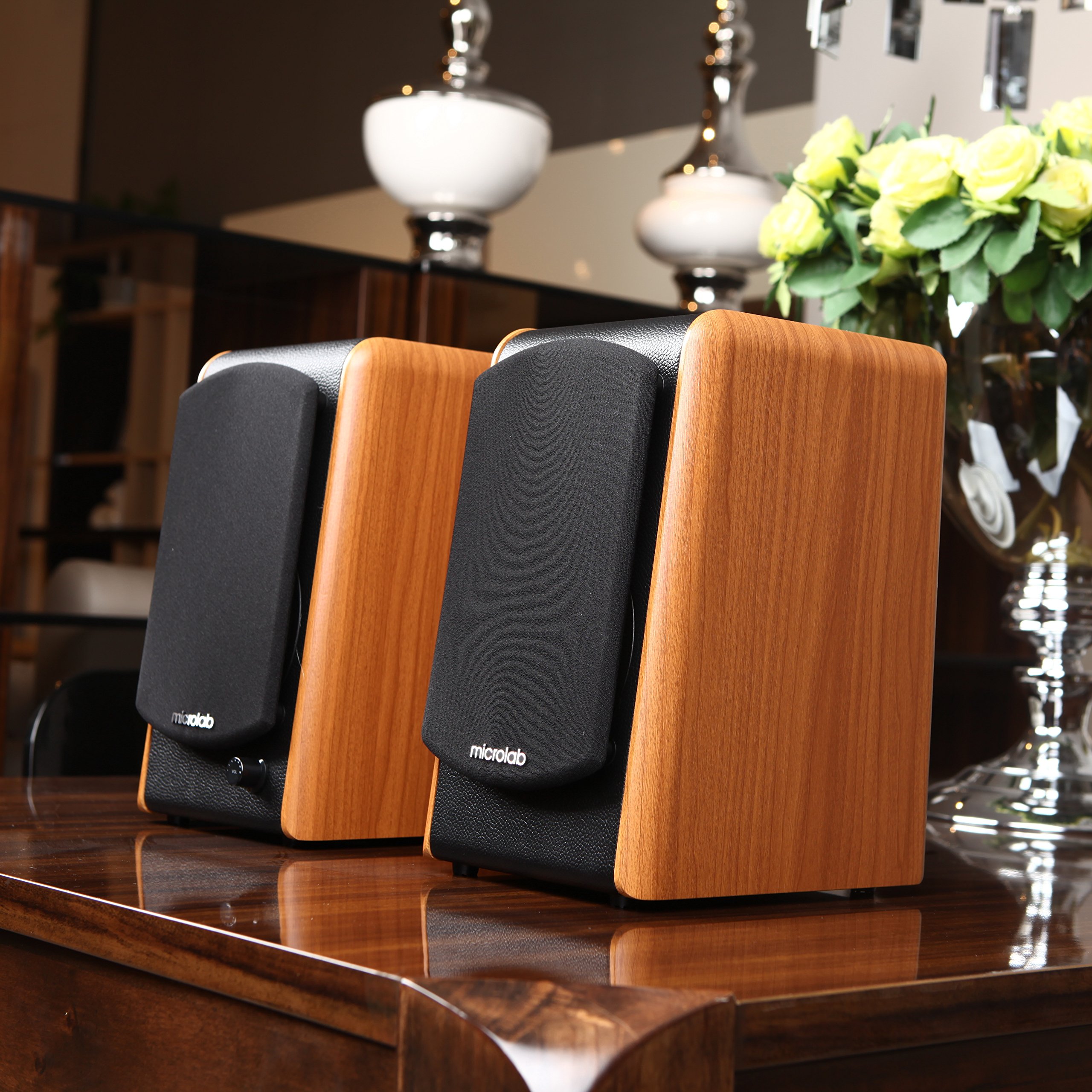 Microlab B77 Acoustic HiFi Subwoofer Home Theater Amplifier Satellite