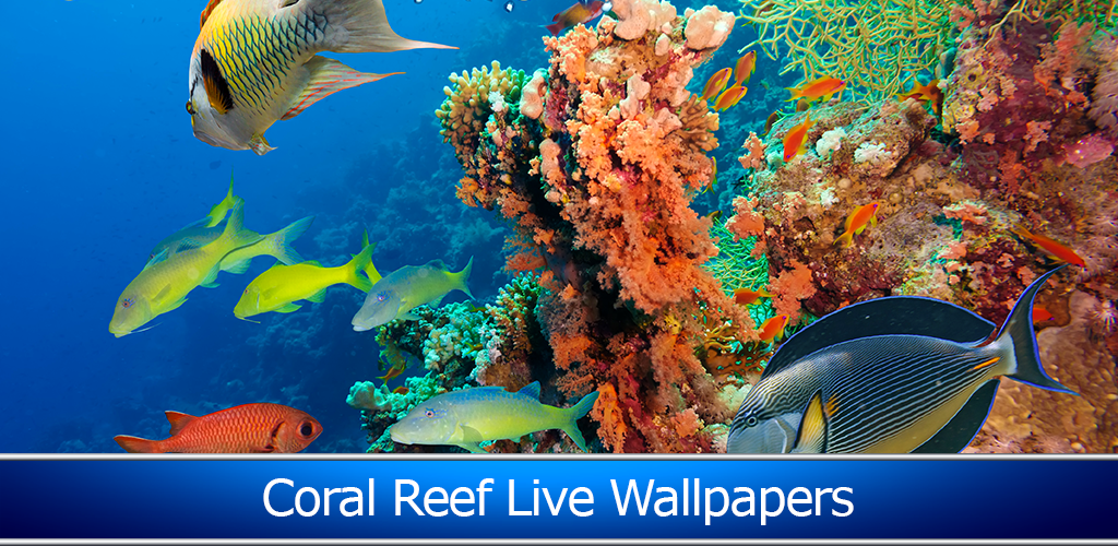 Fondo de pantalla pecera en movimiento | Peceras