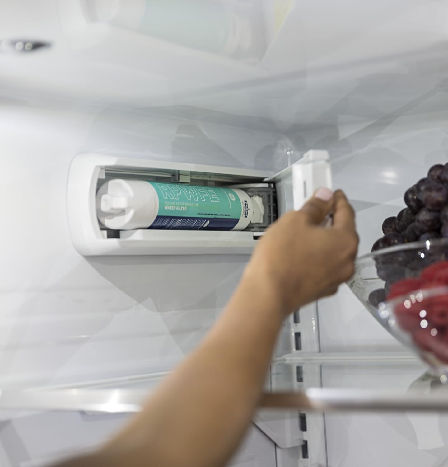 GE RPWFE Refrigerator Water Filter: Appliances