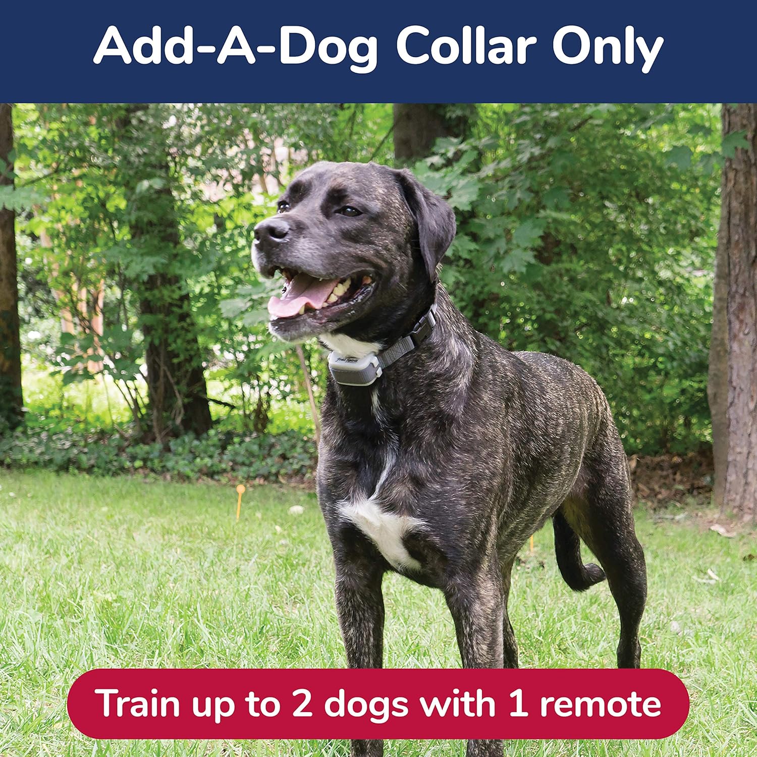 free spirit dog shock collar