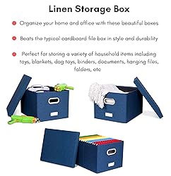 Internet's Best Collapsible File Storage Organizer