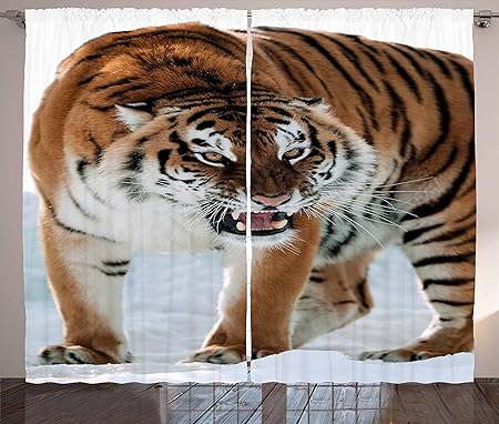 Tiger Curtains By Ambesonne Close Up Of Panthera Tigris Altaica