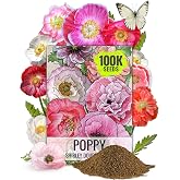 Seed Needs Poppy Seeds to Plant Shirley Double Mix 100,000 Seeds Bulk Pack