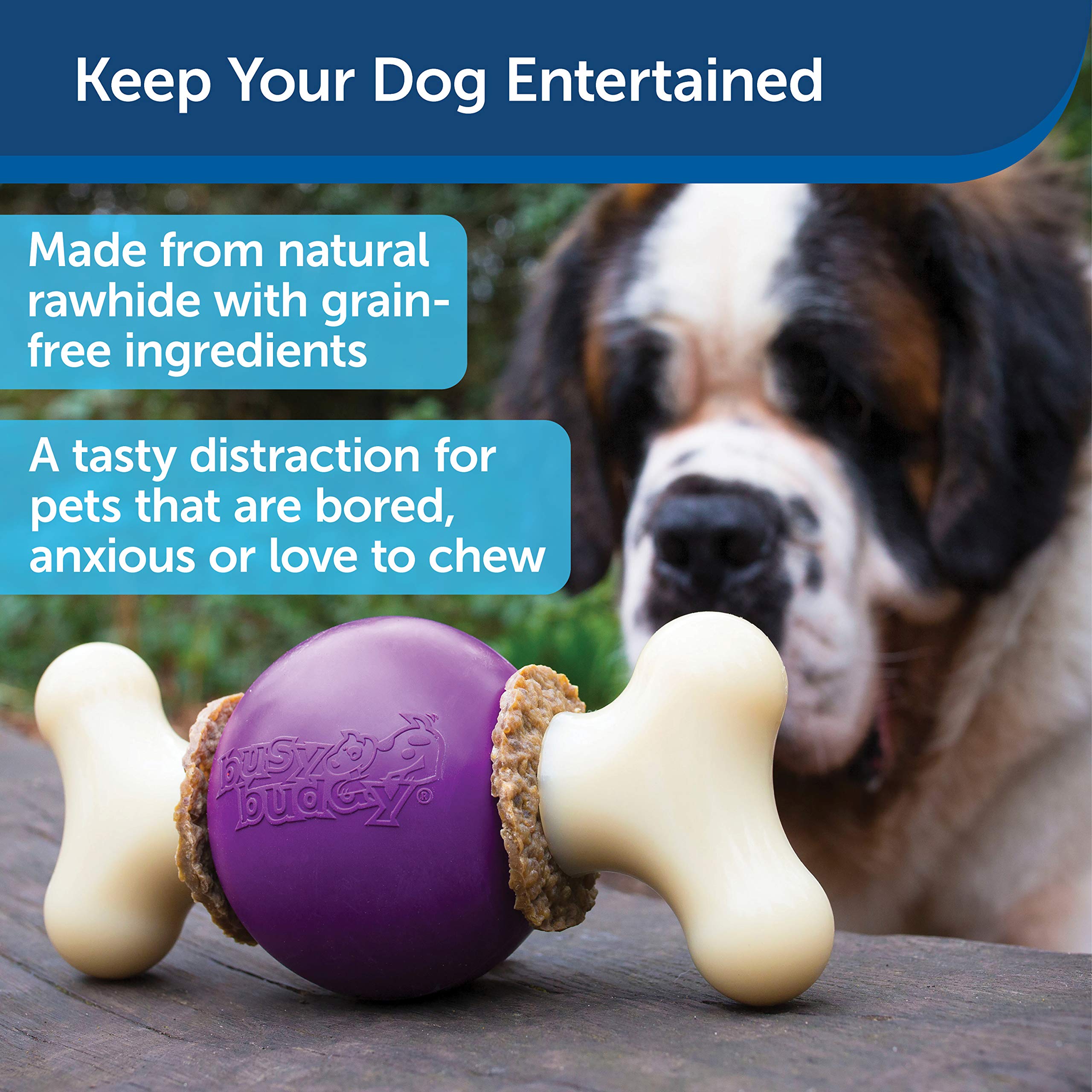 PetSafe Busy Buddy Bouncy Bone?, Treat Holding Dog Toy, Medium, Best for Dogs 10-50 Lb.