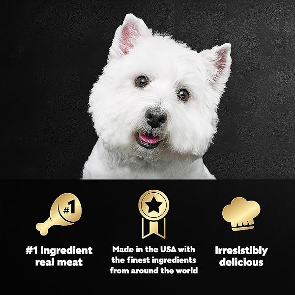 CESAR WET DOG FOOD LOAF IN SAUCE ROTISSERIE CHICKEN, FILET MIGNON, ANGUS BEEF, AND HAM & EGG FLAVORS VARIETY PACK, 3.5 OZ. EASY PEEL TRAYS (24 COUNT, PACK OF 1)