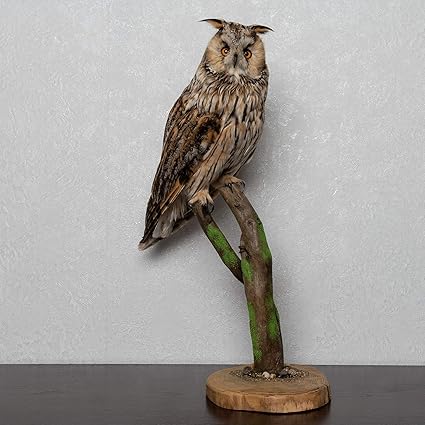stuffed owl for sale