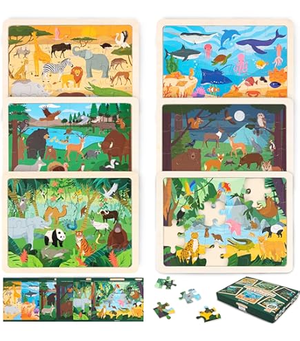 Amazon.com: Hide & Seek - Animals in The Forest - Premium Quality