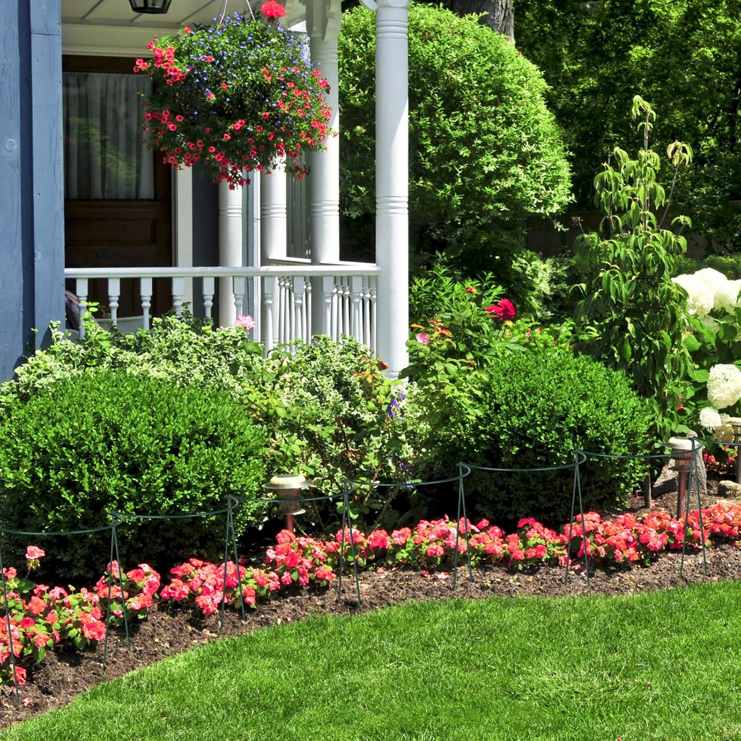 LouisaYork Garden Border Plant Support,2Pcs Tall Plant Supports Plant Support Garden Stakes Garden Hoop Semicircular for Peonies Hydrangea - Image 5