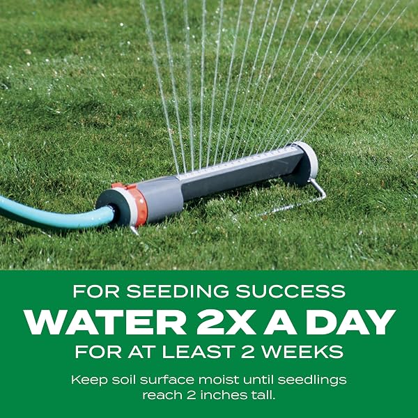 SCOTTS TURF BUILDER THICK’R LAWN BERMUDAGRASS – COVERS 1,200 SQ. FT., COMBINATION SEED, FERTILIZER AND SOIL IMPROVER, FILL AND REPAIR GAPS IN THIN LAWNS AND ENHANCE ROOT DEVELOPMENT, 12 LB.