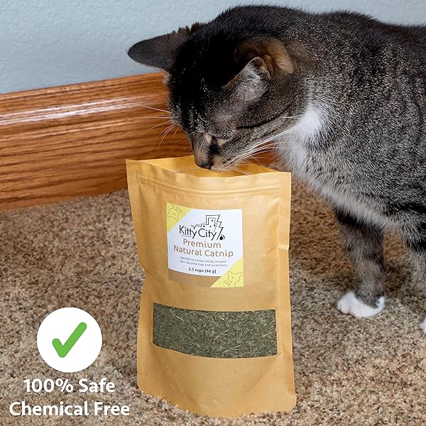 KITTY CITY CAT PREMIUM NATURAL CATNIP COLLECTION, CATNIP BAG