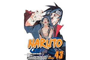 Naruto, Vol. 43: The Man with the Truth