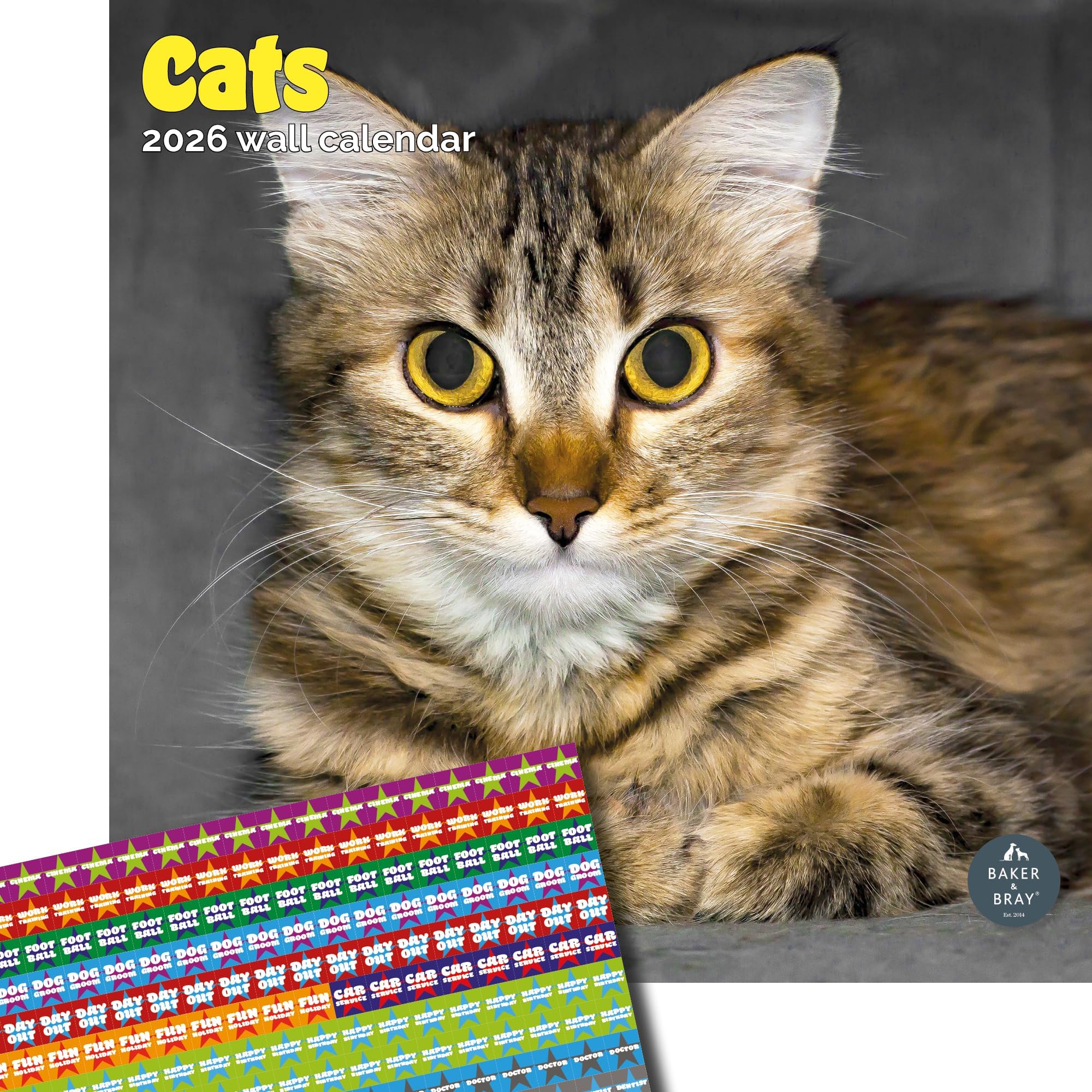 Baker and Bray Cats Calendar 2026, Large Square Wall Calendar With Organisational Stickers, 16 Month, Cats Gift Cat Calendar