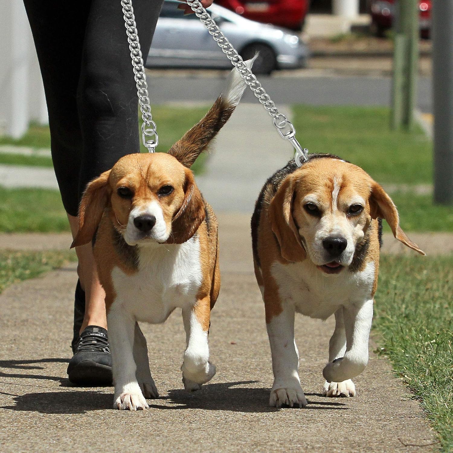 2 way dog leash