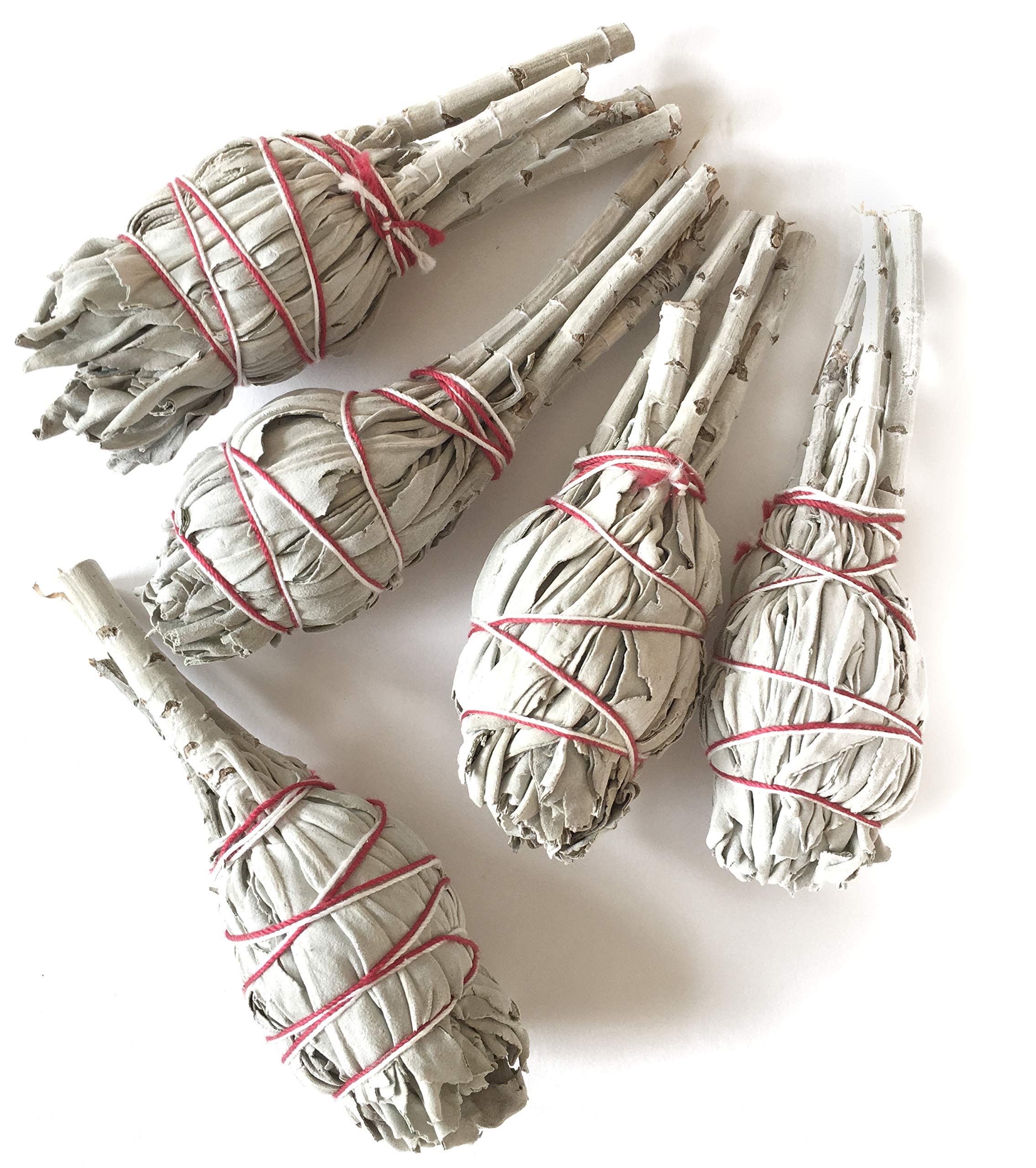 Farbenwald White Sage, 5 Incense Torches, Approx. 4,5 Inch, from California, Smudge Sticks, Salvia Apiana, Incense