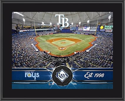 rays baseball team store