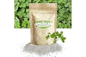 American Meadows Microclover Seed - Specially Blended Lawn Alternative, Low Maintenance, Great Ground Cover, Durable for High Traffic Areas, Drought Tolerant, Grass Alternative (1 lb.)
