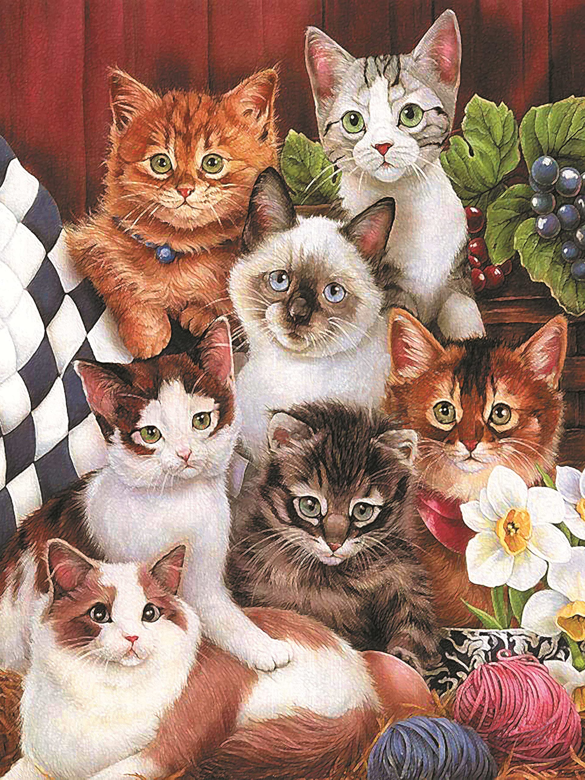 Jigsaw Puzzles for Adults 500 Piece Cats 20.5 x 15 Inch Jigsaw Puzzles for Adults Educational Game Challenge 500 Pieces Puzzles for Adults — image 1
