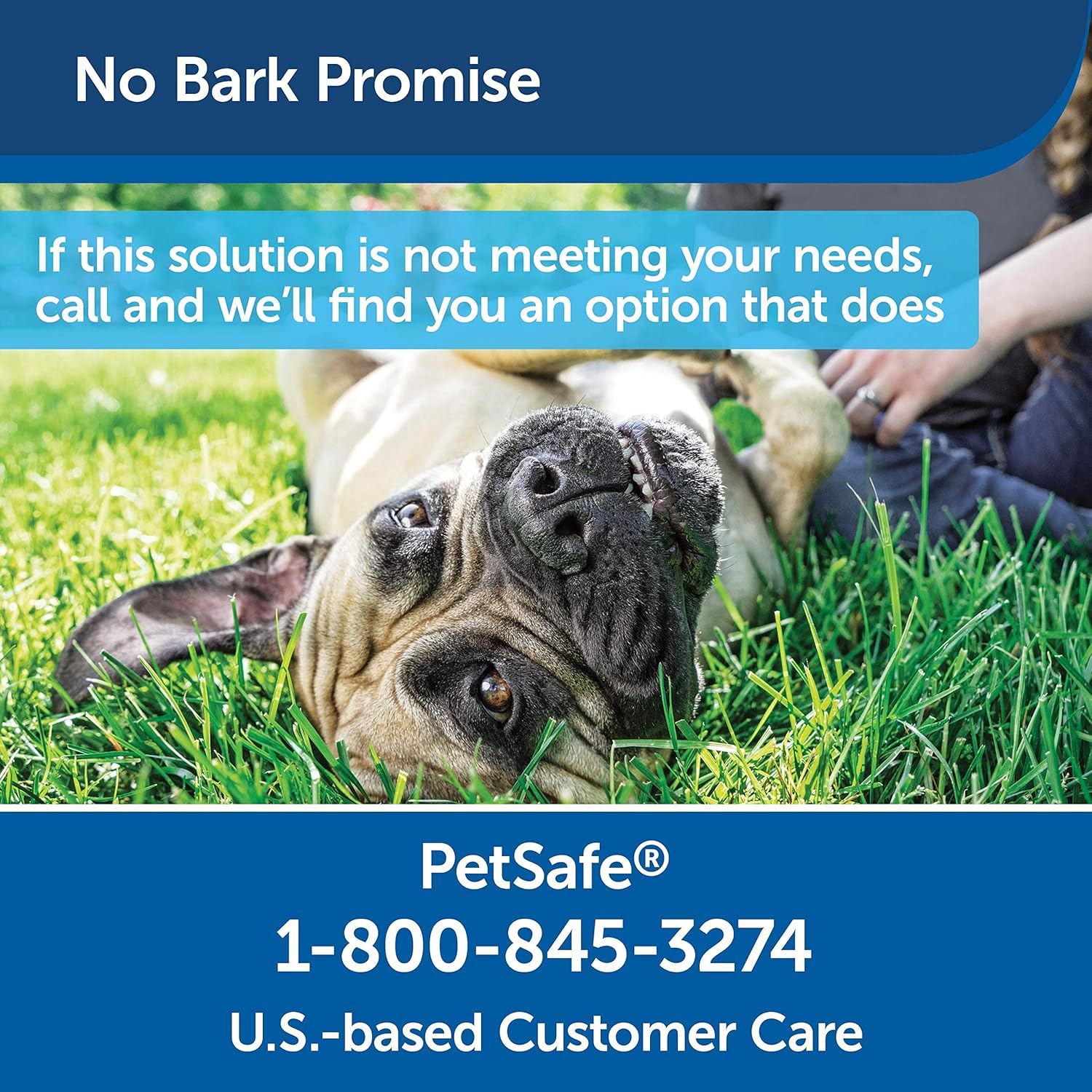 PetSafe Outdoor Ultrasonic Bark Deterrent, Up to 50 ft. Range, Outdoor Use Only, No Collar Needed : Sonic Barking Deterrents : Pet Supplies