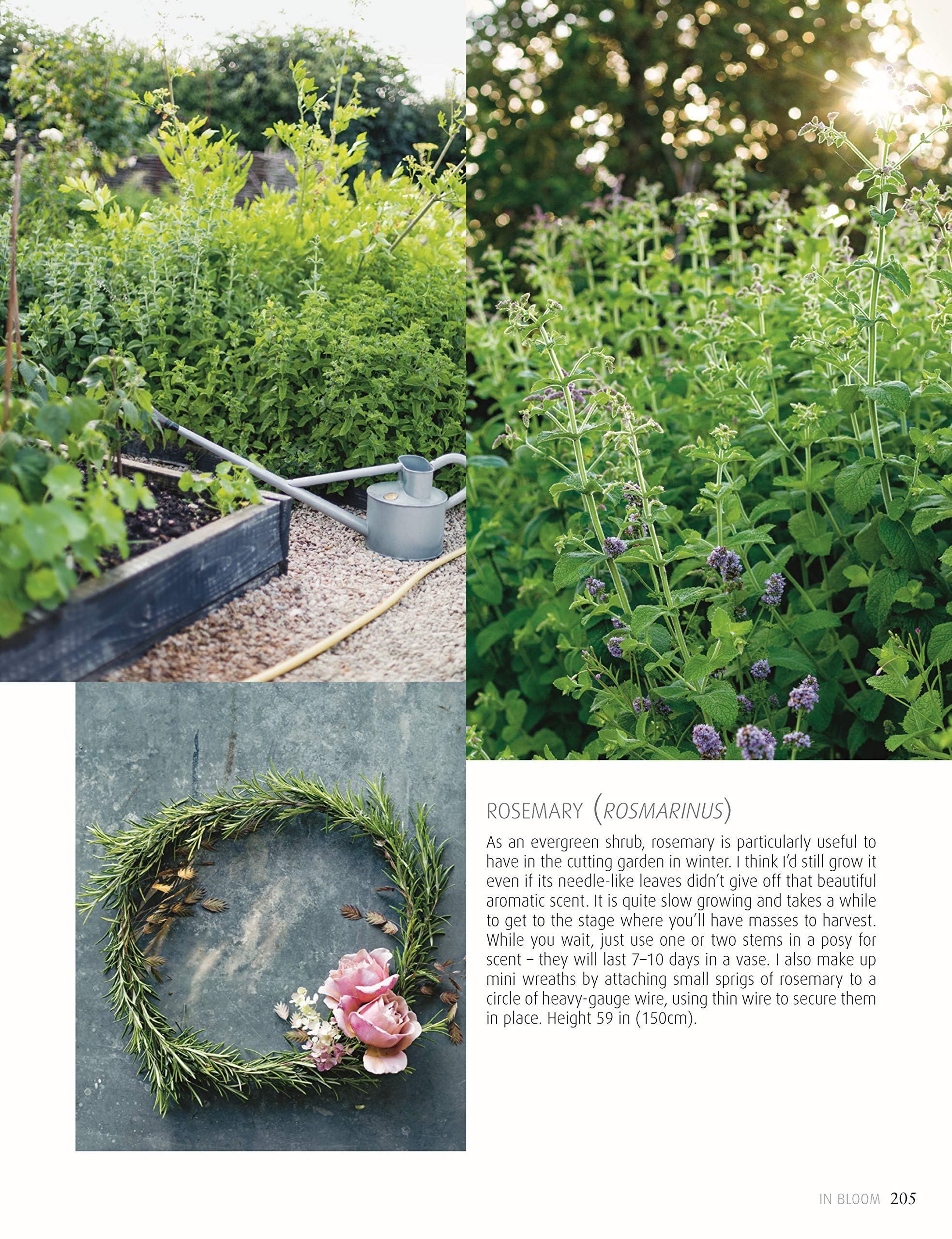 In Bloom: Growing, Harvesting, and Arranging Homegrown Flowers All Year Round (CompanionHouse Books) Create a Perfect Garden of Color, Texture, & Shape with Annuals, Perennials, Shrubs, Trees, & More