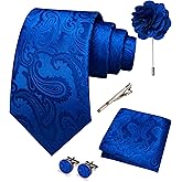 JEMYGINS Mens Paisley Tie and Pocket Square,Lapel Pin,Cufflinks,Tie Clip Sets with Gift Box 5PCS
