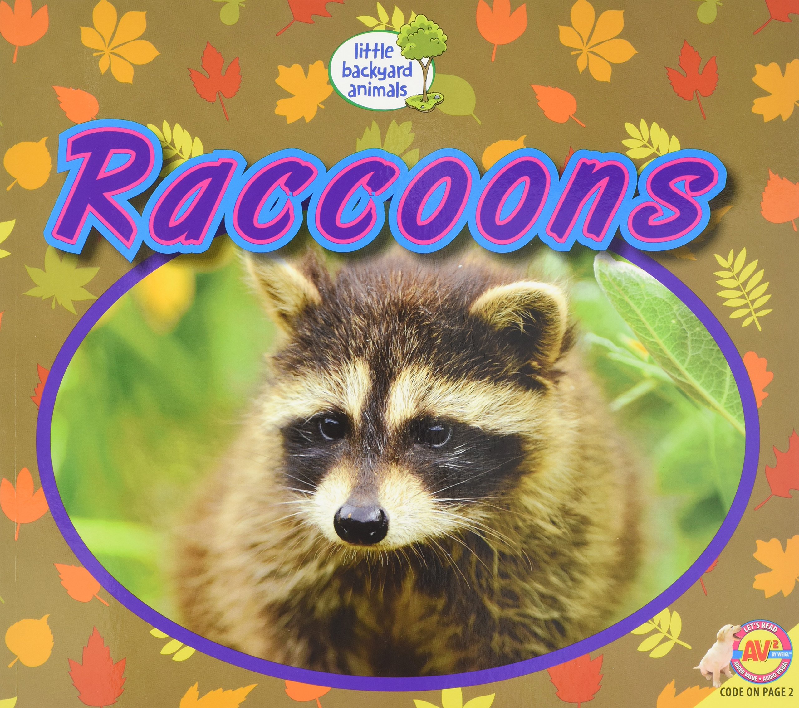 Raccoons Little Backyard Animals Heather Kissock 9781489654007