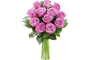 KaBloom PRIME NEXT DAY DELIVERY - Bouquet of 12 Fresh Purple Roses | Fresh Flowers For Delivery Prime | Gift for Birthday, Sympathy, Anniversary, Get Well, Thank You, Valentine, Mother’s Day Flowers