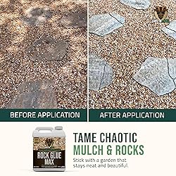 PetraMax Rock Glue for Landscaping, Rock Glue for