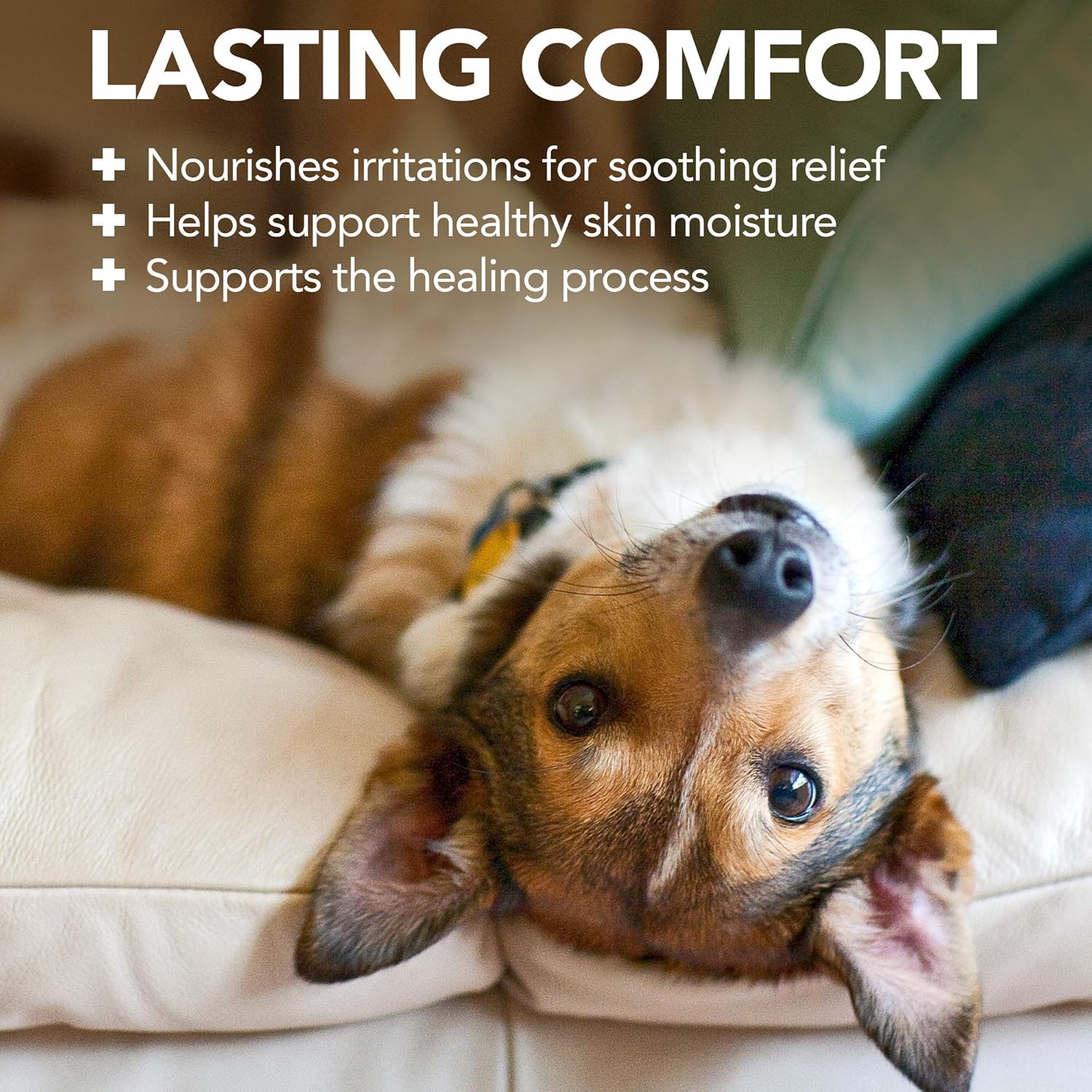 vet's best hot spot shampoo