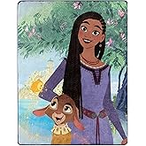 Northwest Disney Wish Silk Touch Throw Blanket, 46 x 60 inches, Friendship