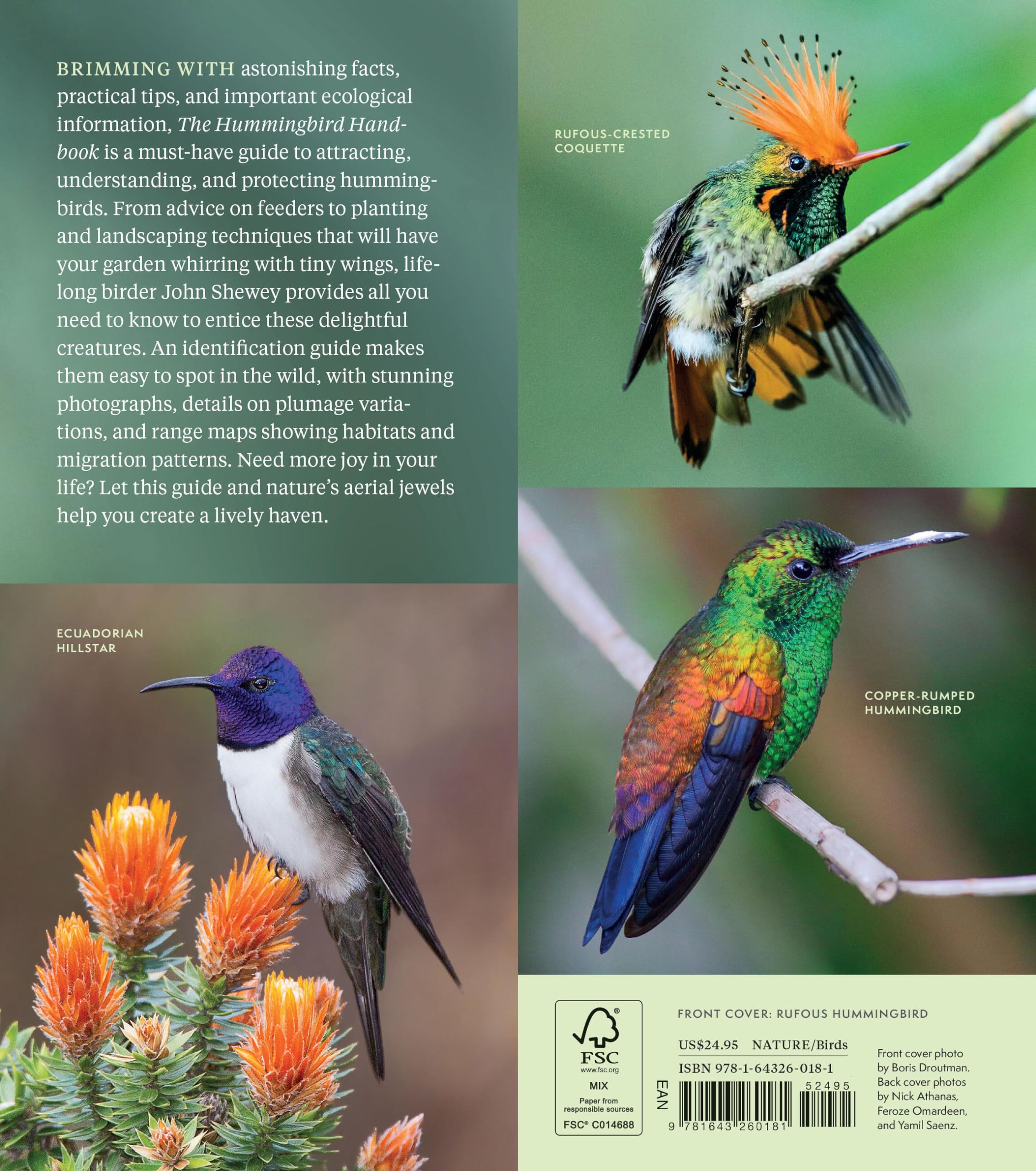 The Hummingbird Handbook: Everything You Need to Know about These Fascinating Birds The Hummingbird Handbook: Everything You Need to Know about These Fascinating Birds Paperback Kindle