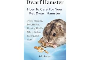Dwarf Hamster: Types, Breeding, Diet, Habitat, Housing, Health, Where To Buy, Raising, and more. How To Care For Your Pet Dwa