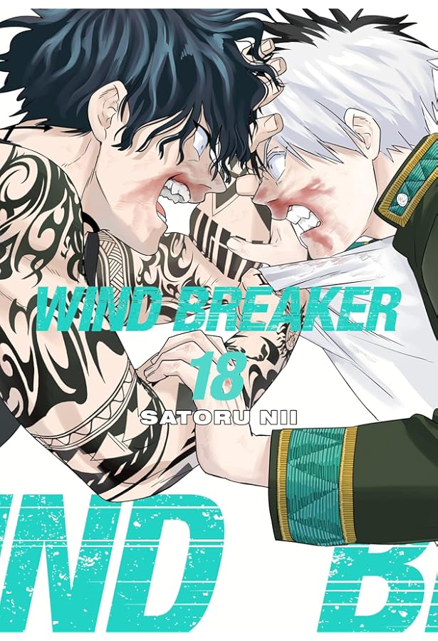 WINDBREAKER漫画 WIND BREAKER 17: Nii, Satoru: 9781646519644: Amazon.com: Books