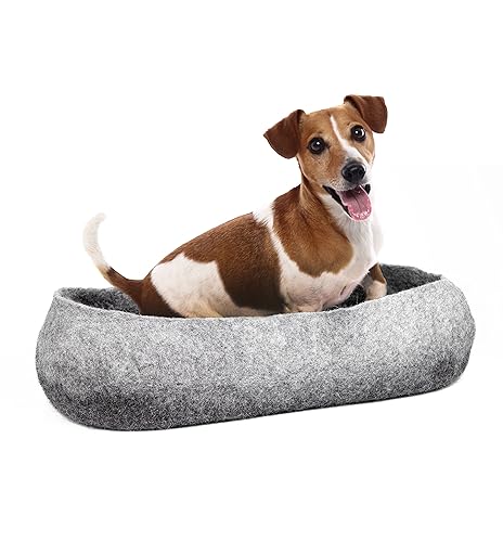 teddy oval dog bed
