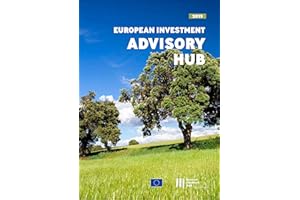 European Investment Bank Annual Report 2019 on the European Investment Advisory Hub