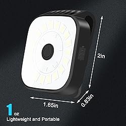 redaica 4 Pack Running Lights for Runners - Dog